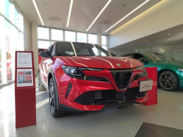 JUNIOR Ibrida SPECIALE