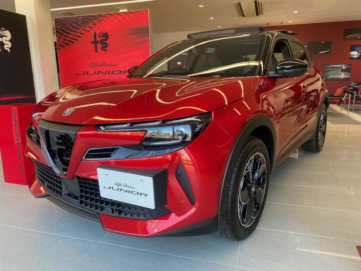 JUNIOR Ibrida SPECIALE