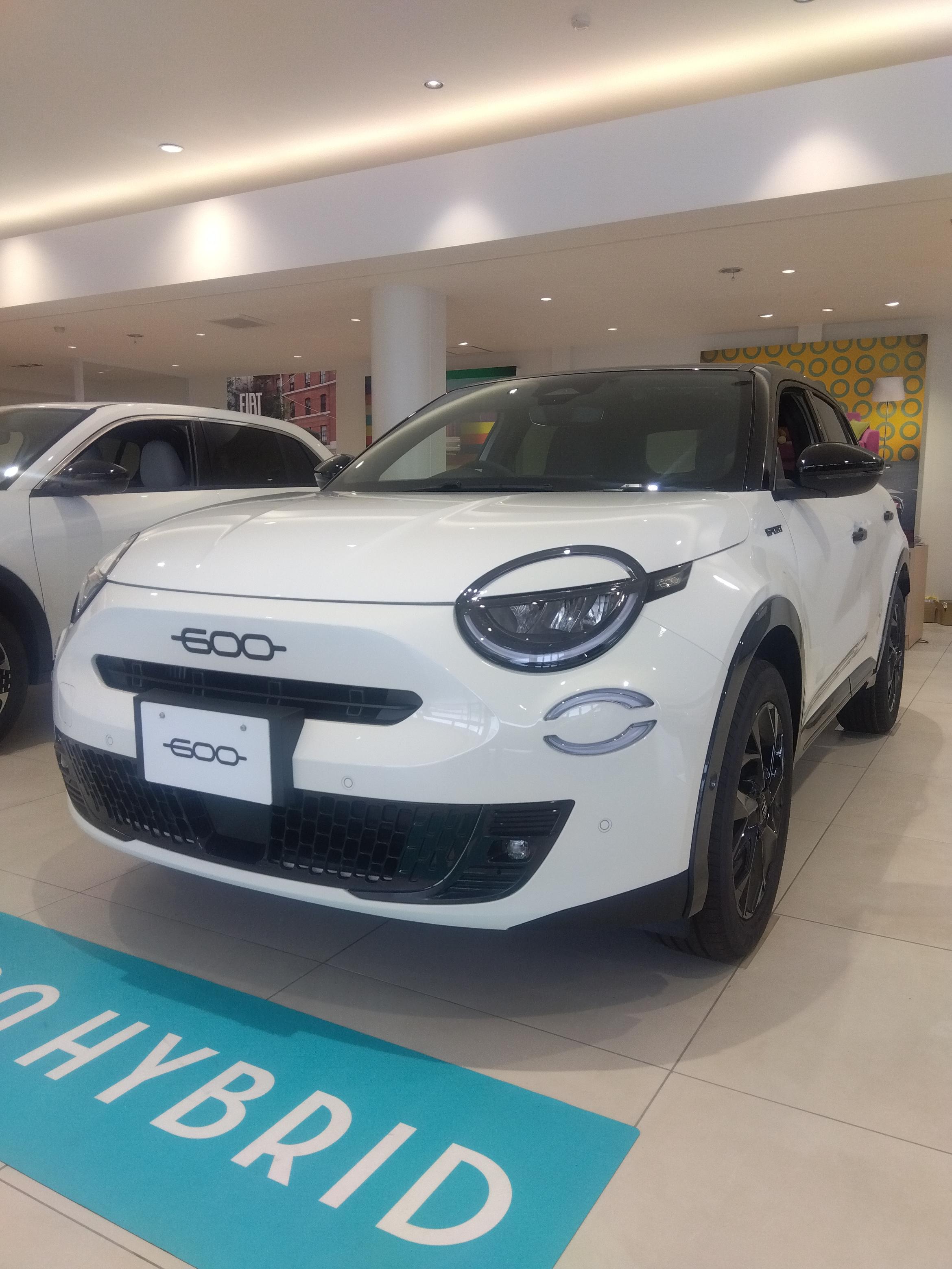 600 Hybrid Sport