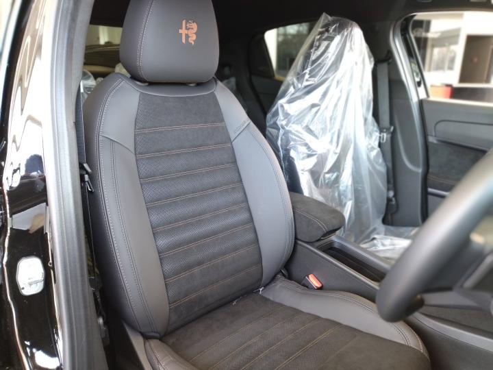 JUNIOR Ibrida INTENSA