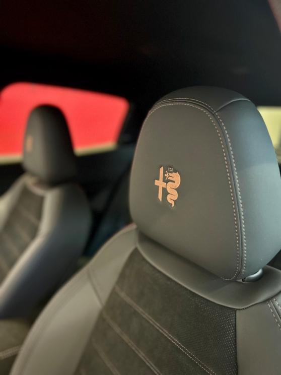 JUNIOR Ibrida INTENSA