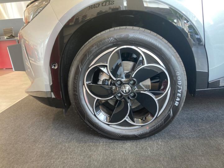 JUNIOR Ibrida PREMIUM