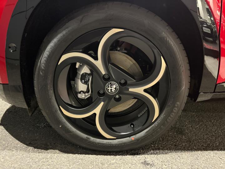 JUNIOR Ibrida INTENSA