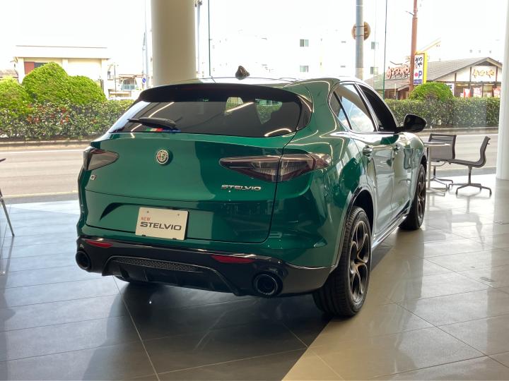 STELVIO 2.0 TURBO Q4 INTENSA
