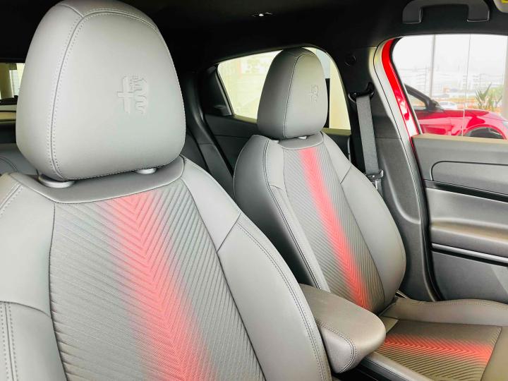 JUNIOR Ibrida PREMIUM