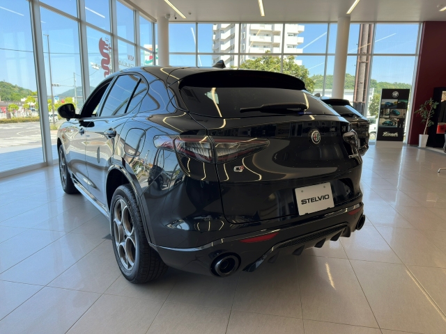 STELVIO 2.0 TURBO Q4 SPRINT