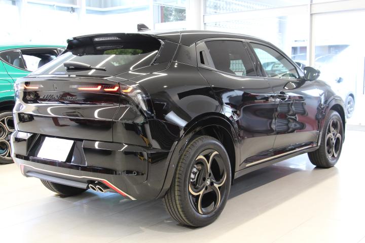 JUNIOR Ibrida INTENSA