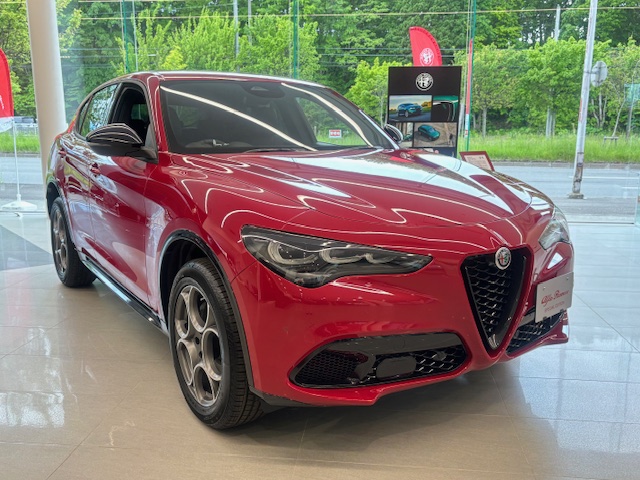 STELVIO 2.0 TURBO Q4 SPRINT
