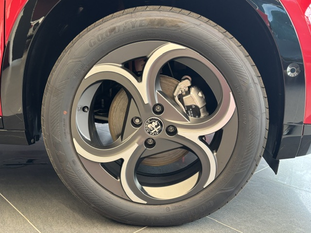 JUNIOR Ibrida SPORT SPECIALE