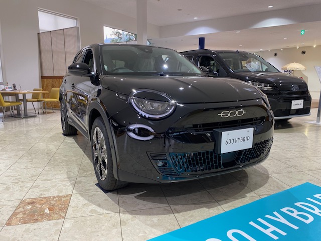 600 Hybrid NERO CINEMA