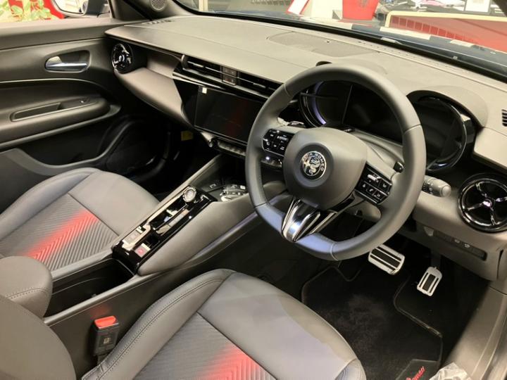 JUNIOR Ibrida PREMIUM