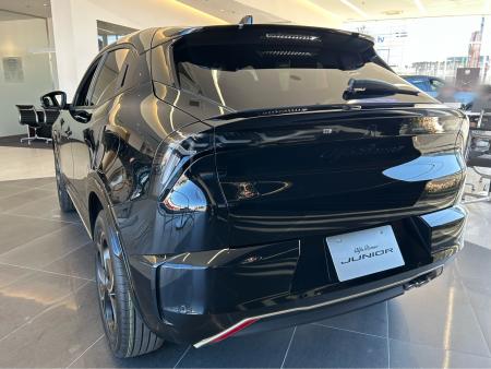 JUNIOR Ibrida INTENSA