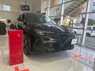 JUNIOR Ibrida PREMIUM