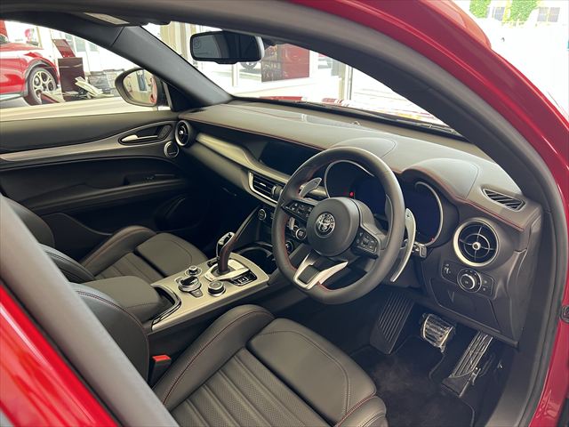 STELVIO 2.0 TURBO Q4 COMPETIZIONE