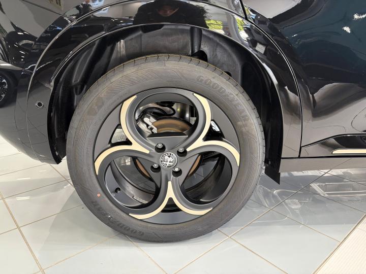 JUNIOR Ibrida INTENSA