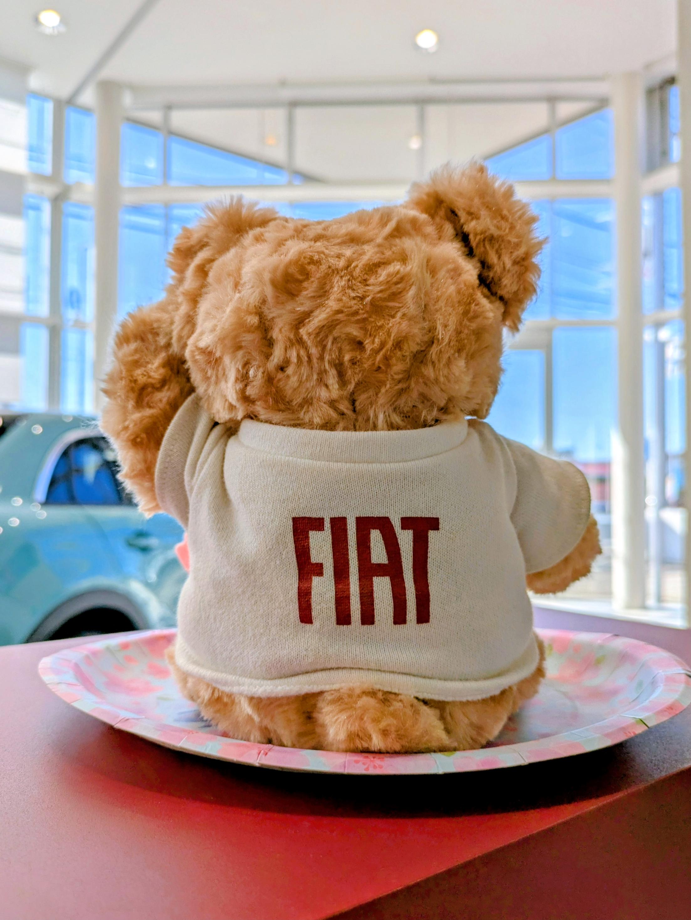 おはようございます！｜フィアット／アバルト平塚スタッフブログ｜FIAT