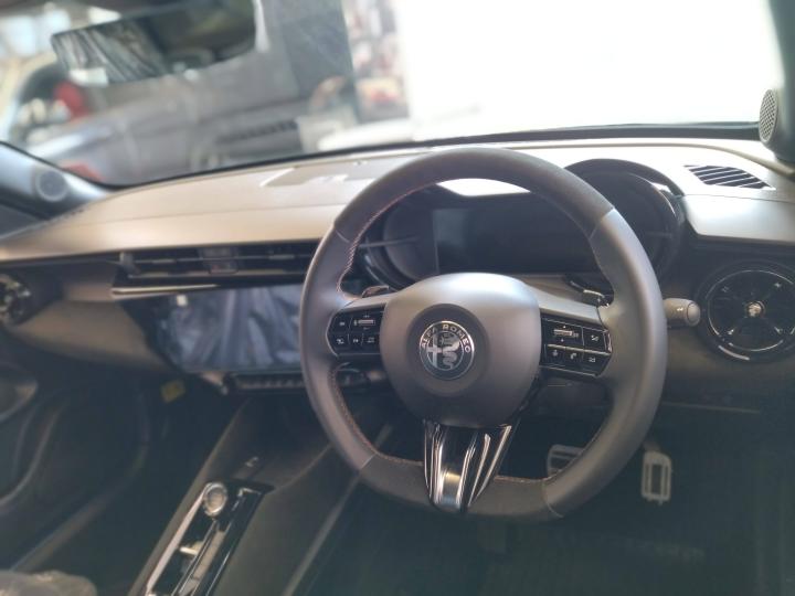 JUNIOR Ibrida INTENSA