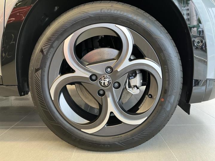 JUNIOR Ibrida SPORT SPECIALE