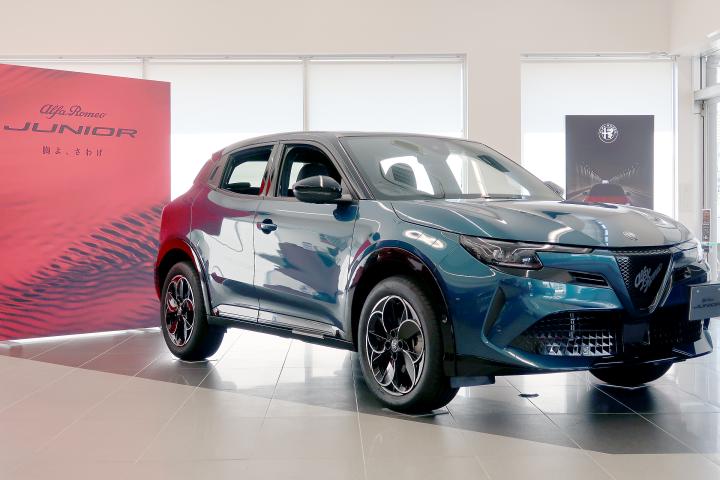 JUNIOR Ibrida PREMIUM