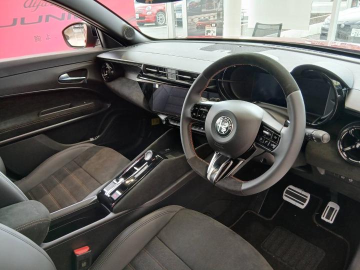 JUNIOR Ibrida INTENSA