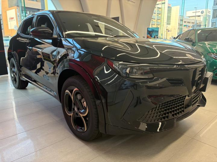 JUNIOR Ibrida INTENSA