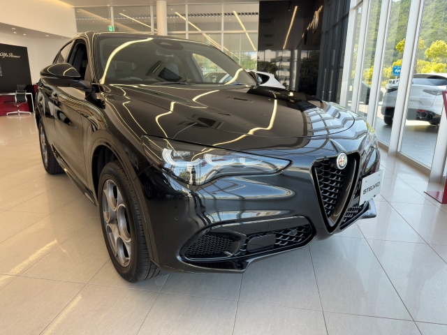 STELVIO 2.0 TURBO Q4 SPRINT