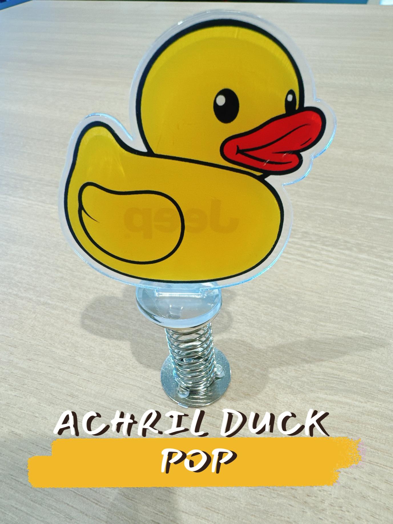 ACHRIL DUCK POP