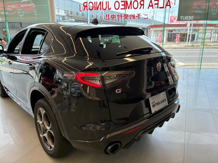 STELVIO 2.0 TURBO Q4 SPRINT