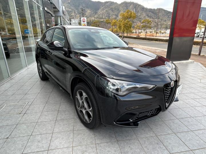 STELVIO 2.0 TURBO Q4 SPRINT
