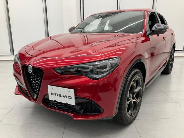 STELVIO 2.0 TURBO Q4 INTENSA