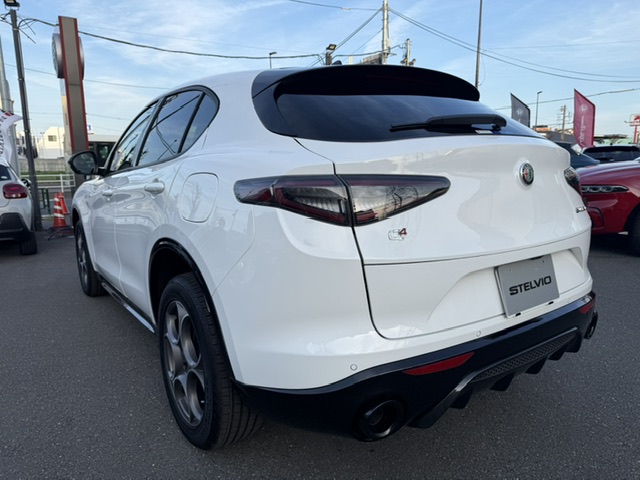 STELVIO 2.0 TURBO Q4 SPRINT