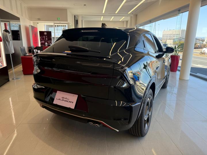 JUNIOR Ibrida INTENSA