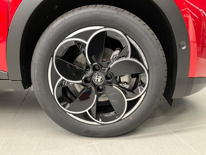 JUNIOR Ibrida SPECIALE