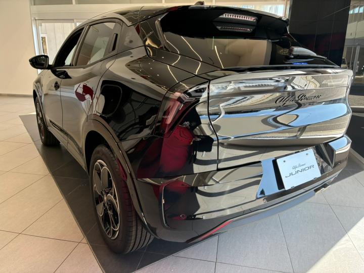 JUNIOR Ibrida PREMIUM