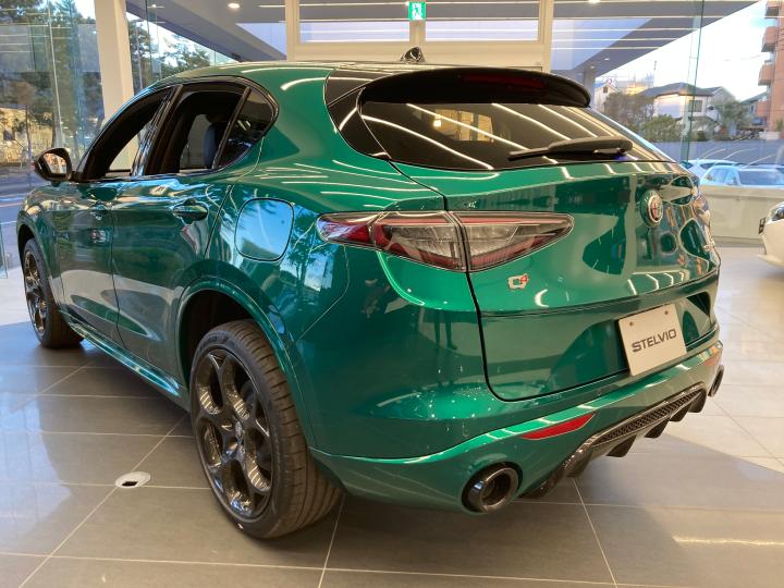 STELVIO TRIBUTO ITALIANO