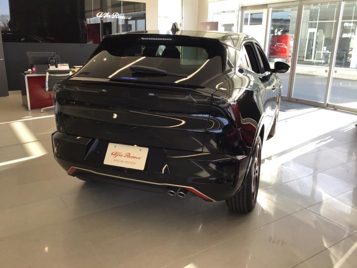 JUNIOR Ibrida INTENSA