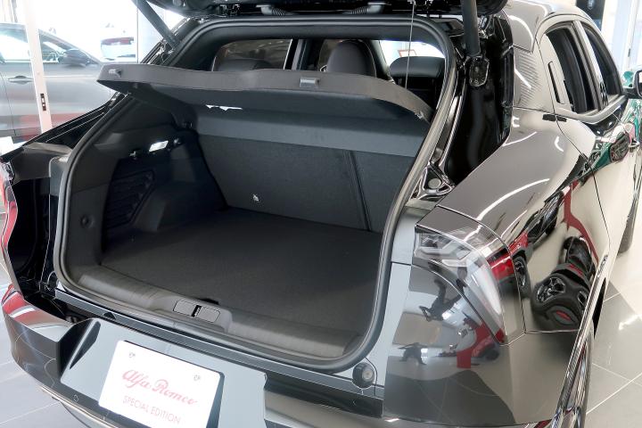 JUNIOR Ibrida INTENSA