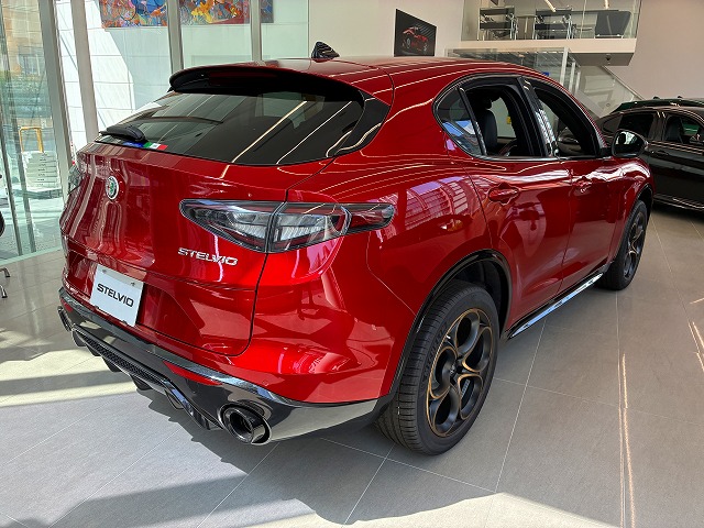 STELVIO 2.0 TURBO Q4 INTENSA