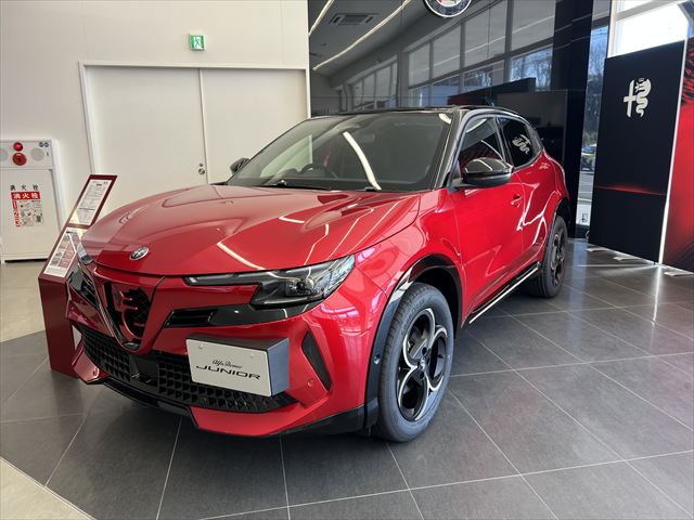 JUNIOR Ibrida INTENSA