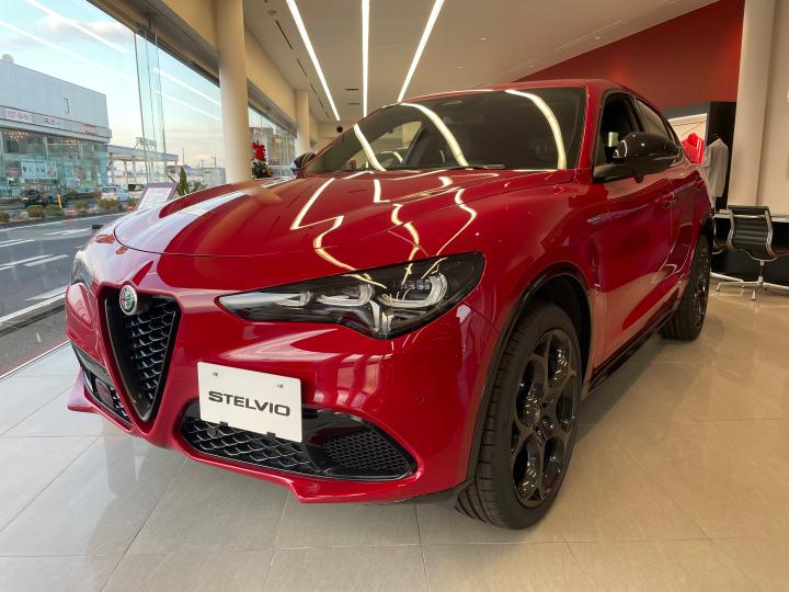 STELVIO TRIBUTO ITALIANO