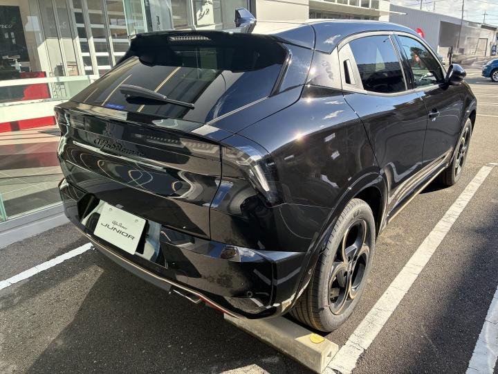 JUNIOR Ibrida INTENSA