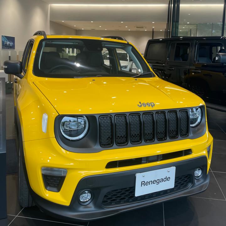 Renegade Altitude e-Hybrid