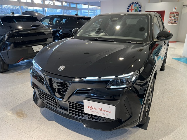 JUNIOR Ibrida INTENSA