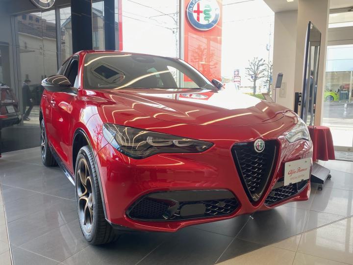 STELVIO 2.0 TURBO Q4 INTENSA
