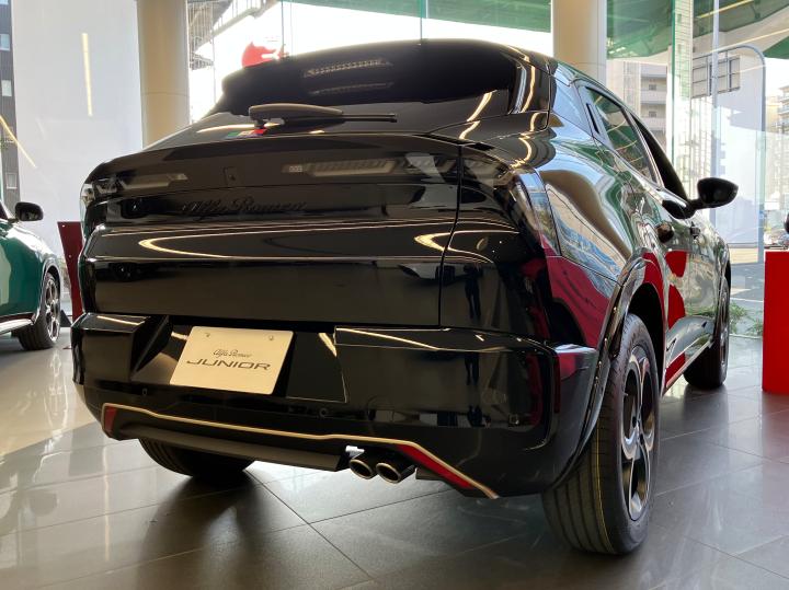 JUNIOR Ibrida INTENSA