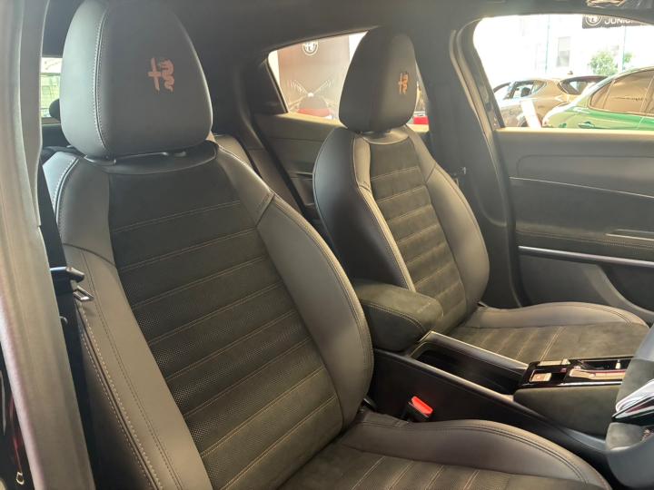 JUNIOR Ibrida INTENSA