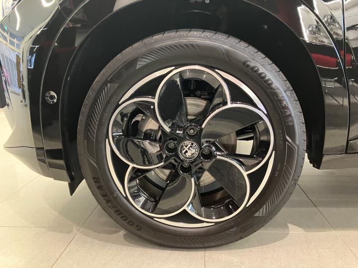 JUNIOR Ibrida PREMIUM