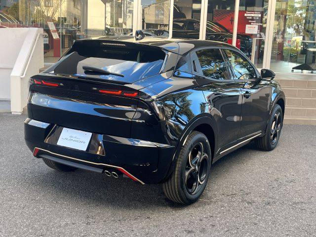 JUNIOR Ibrida INTENSA