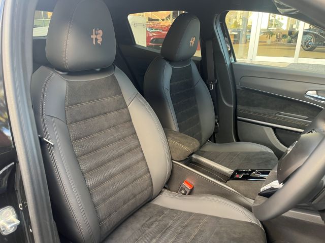 JUNIOR Ibrida INTENSA