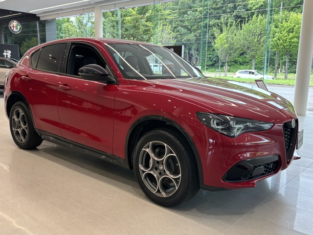 STELVIO 2.0 TURBO Q4 SPRINT